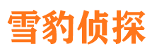 广河调查事务所